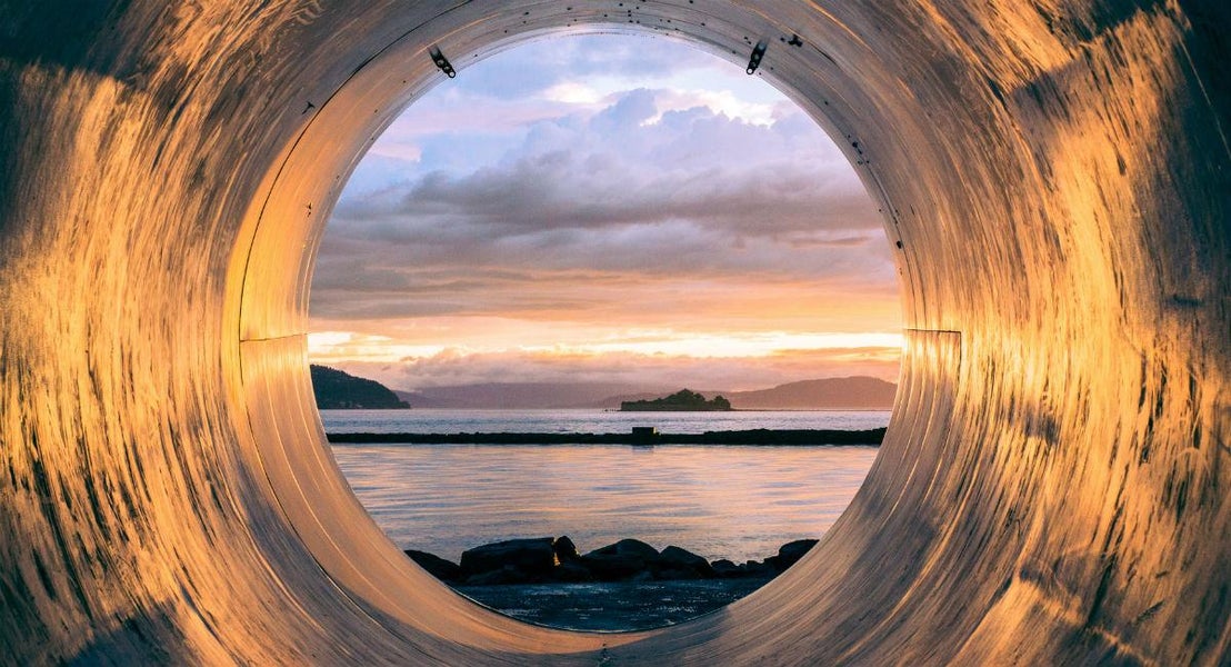 Interflora i Trondheim